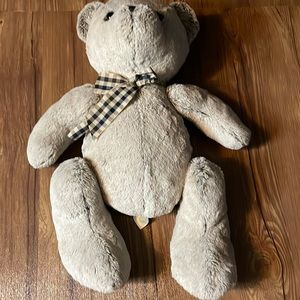 Teddy Bear Plushy